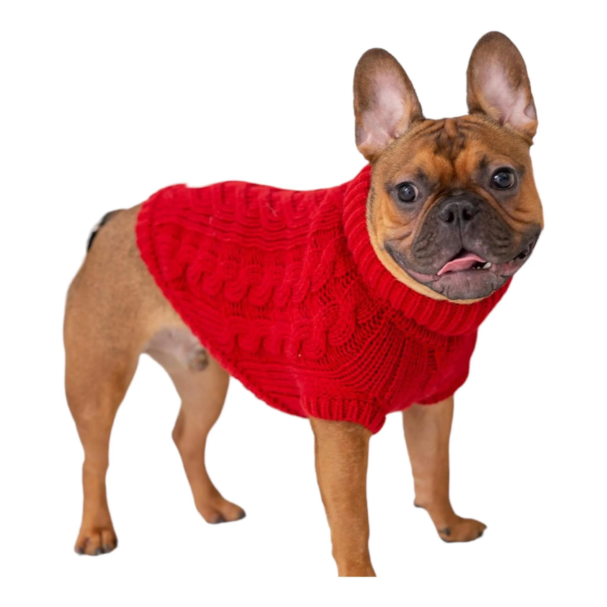 Chalet Dog Sweater - Red