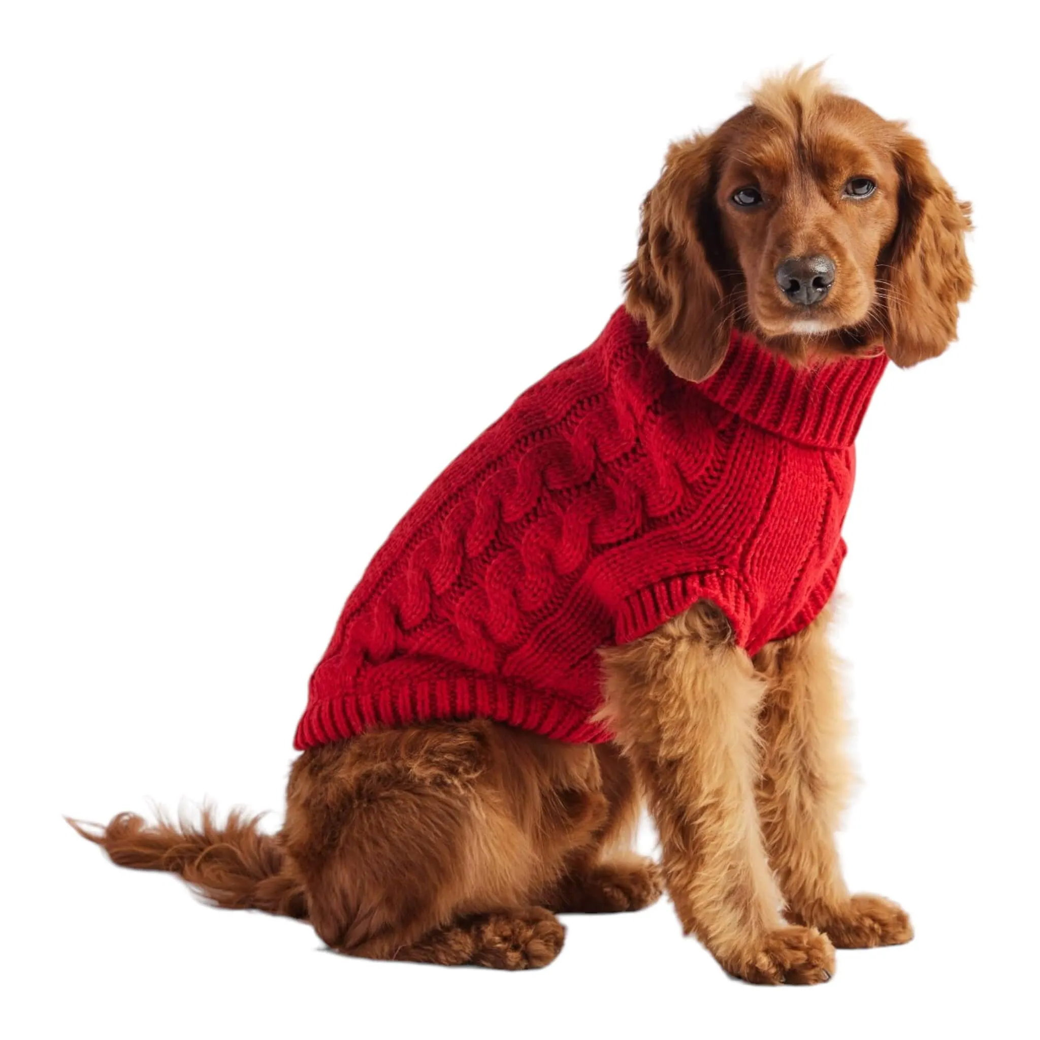 Chalet Dog Sweater - Red